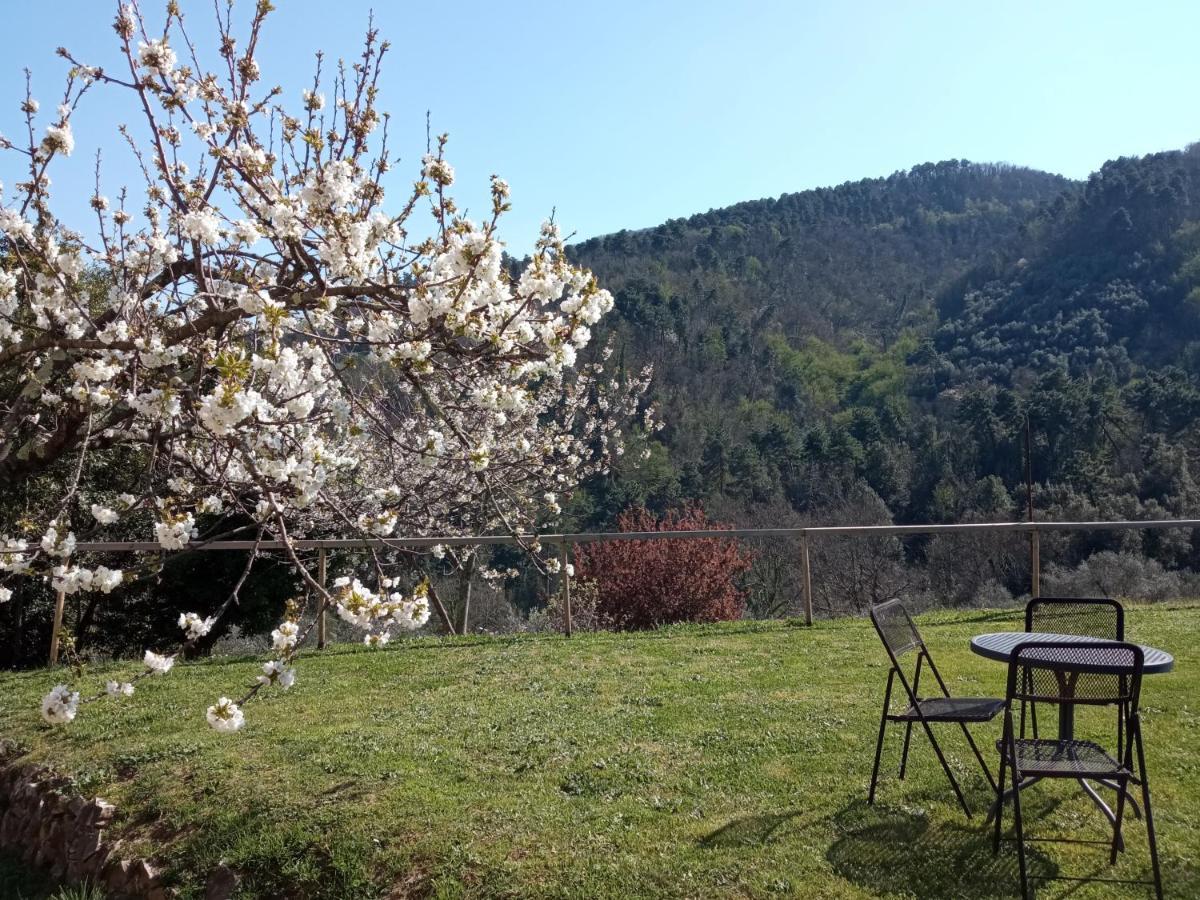 Apartament Il Silenzio Lukka Zewnętrze zdjęcie